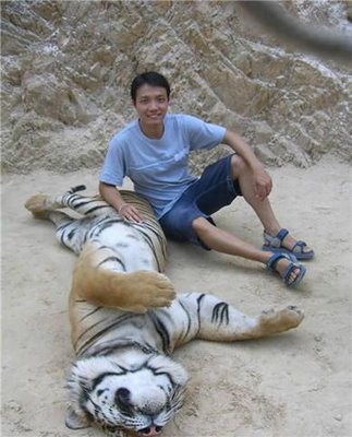 Friendly Tiger - Cute Friendship