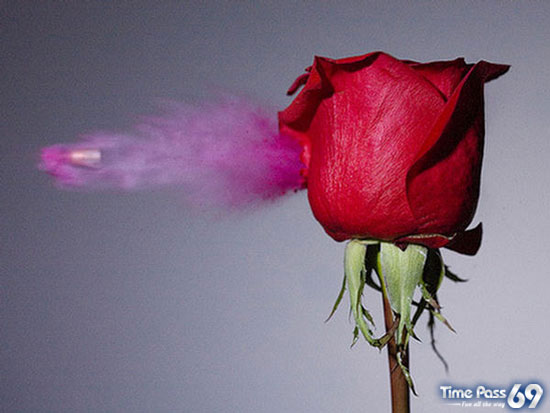 High Speed Photography