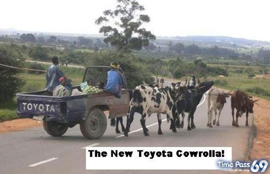 Typical African Products