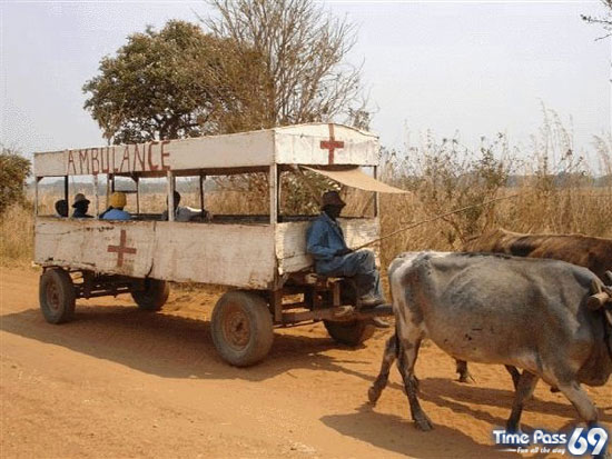 Typical African Products