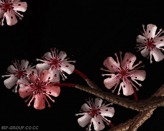 Human Flowers