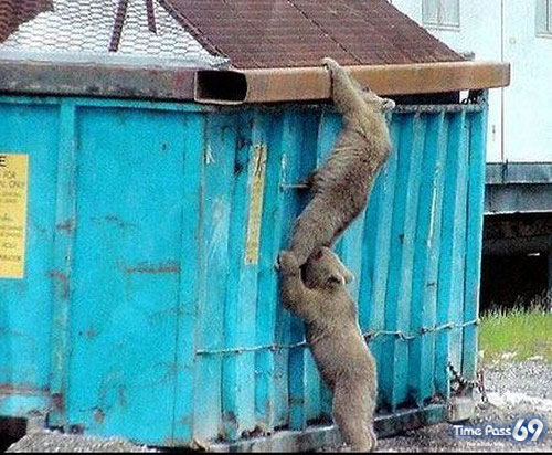 A Very Good Team Work