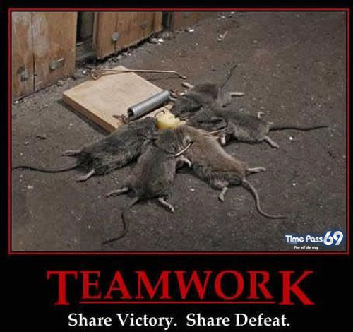 A Very Good Team Work