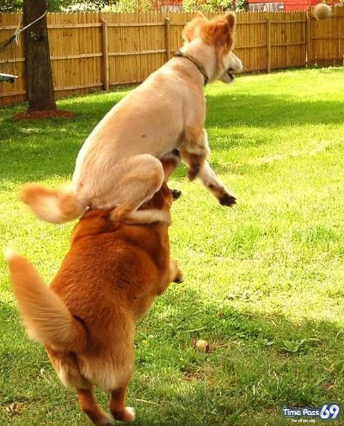 A Very Good Team Work