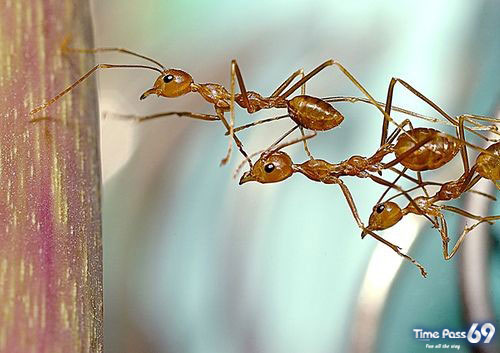 A Very Good Team Work