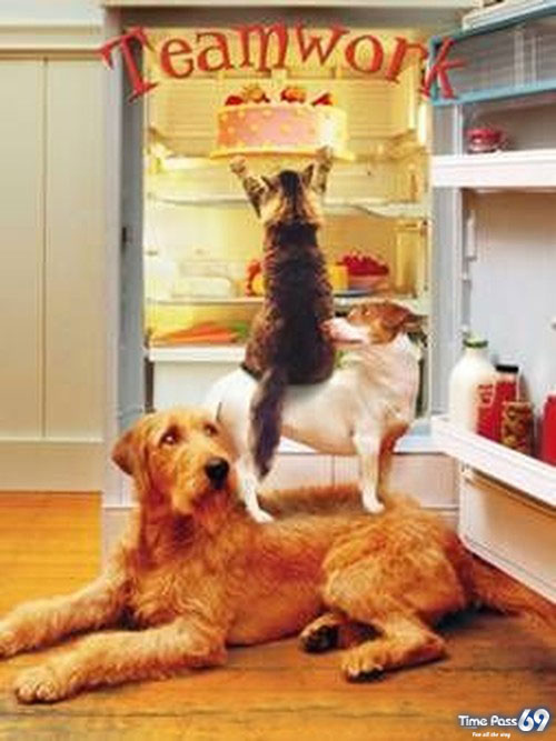 A Very Good Team Work