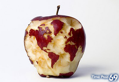 Amazing Food Creations by Talented Artists