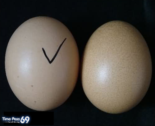 Beware of China Eggs