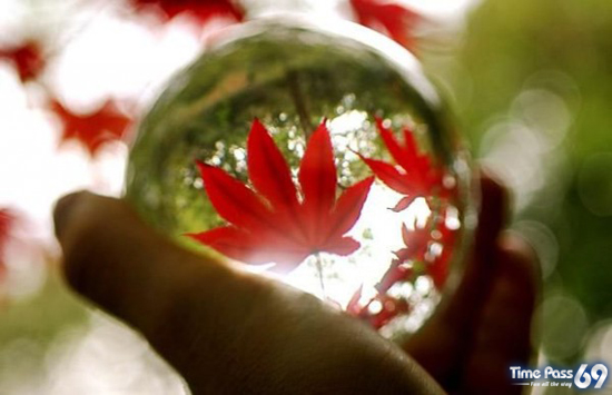 Looking Through The Crystal Ball  Amazing Photos
