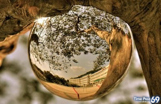 Looking Through The Crystal Ball  Amazing Photos