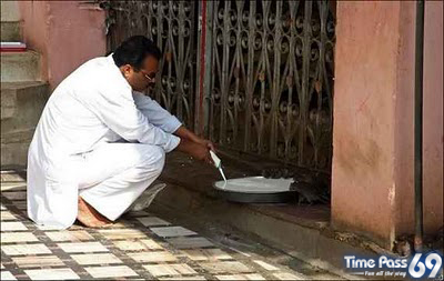 Rat Temple Karni Mata Rajasthan India