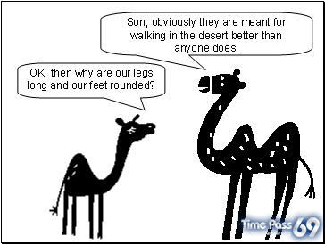 The Camel Story