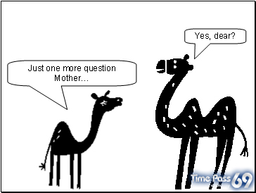 The Camel Story