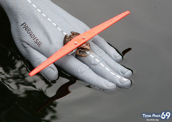 World First Flying Frog 