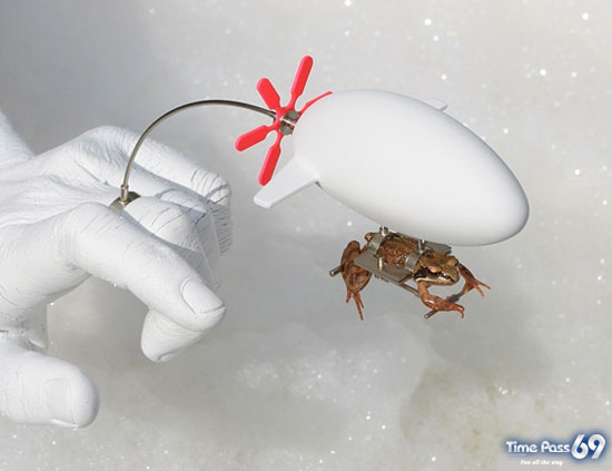 World First Flying Frog 