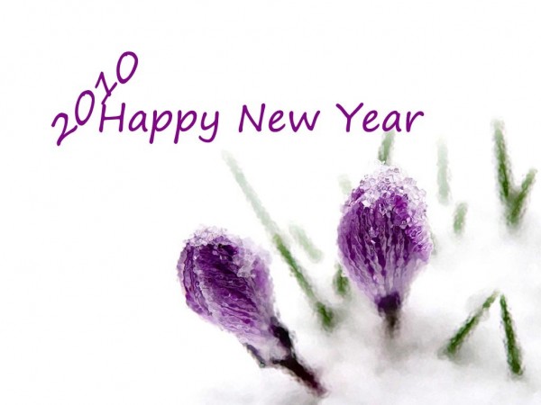 Awesome Wallpapers of 2010