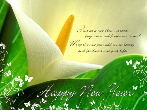 Awesome Wallpapers of 2010