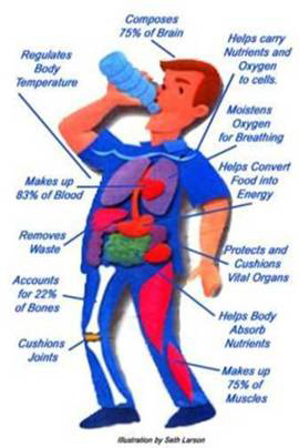 Correct Time to Drink Water