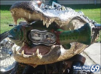 Crocodile Bike Unbelievable Idea