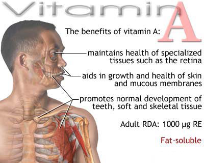 Importance of Vitamins - Awareness Post