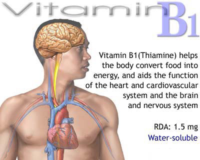 Importance of Vitamins - Awareness Post