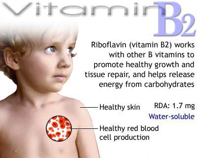 Importance of Vitamins - Awareness Post