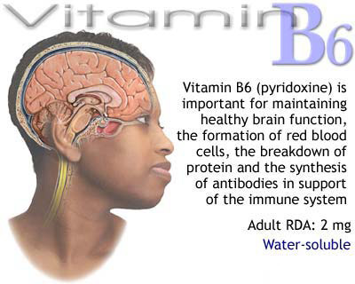 Importance of Vitamins - Awareness Post