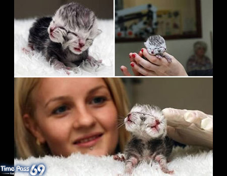 Two-Headed Creatures