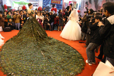 Wedding Dress Made of Peacock Feathers