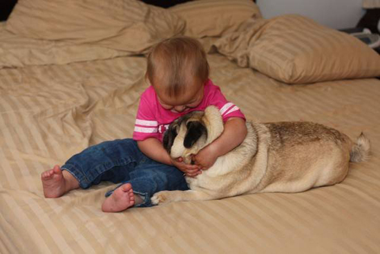 Baby with Vodafone Dogs Very Cute