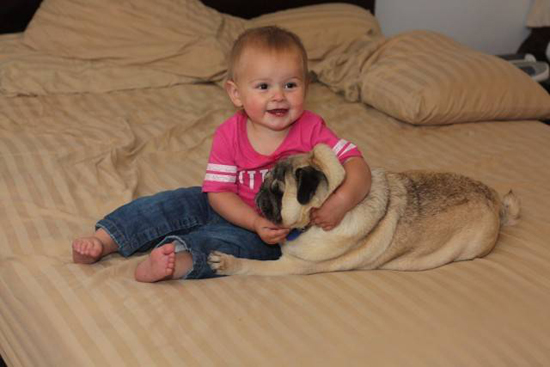 Baby with Vodafone Dogs Very Cute