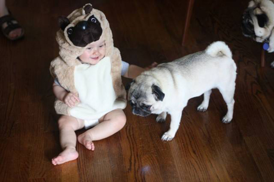 Baby with Vodafone Dogs Very Cute