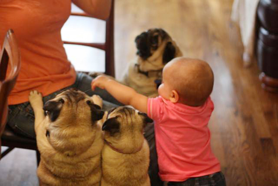 Baby with Vodafone Dogs Very Cute