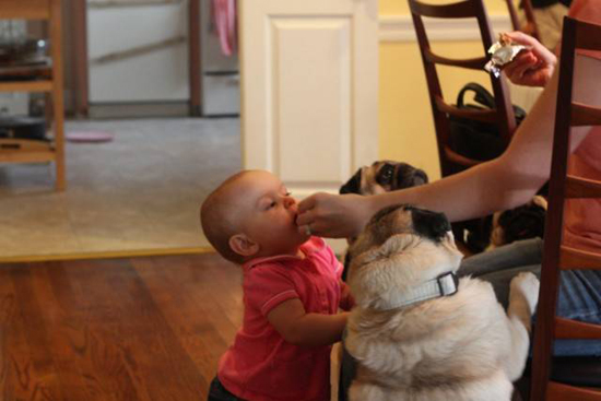 Baby with Vodafone Dogs Very Cute