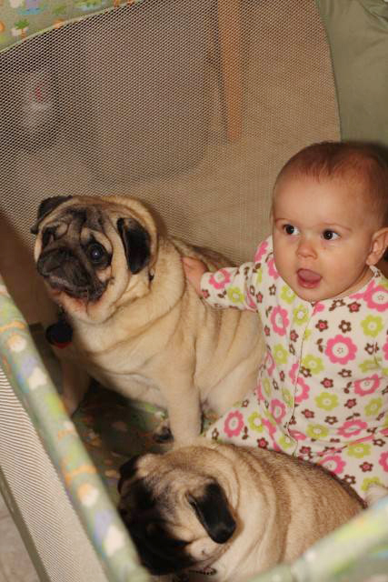 Baby with Vodafone Dogs Very Cute