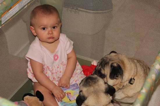 Baby with Vodafone Dogs Very Cute