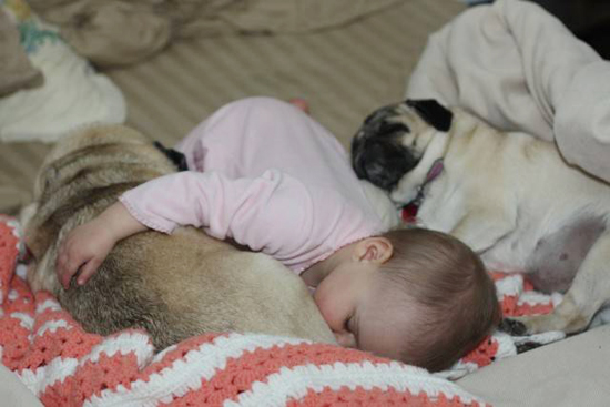 Baby with Vodafone Dogs Very Cute