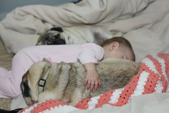 Baby with Vodafone Dogs Very Cute