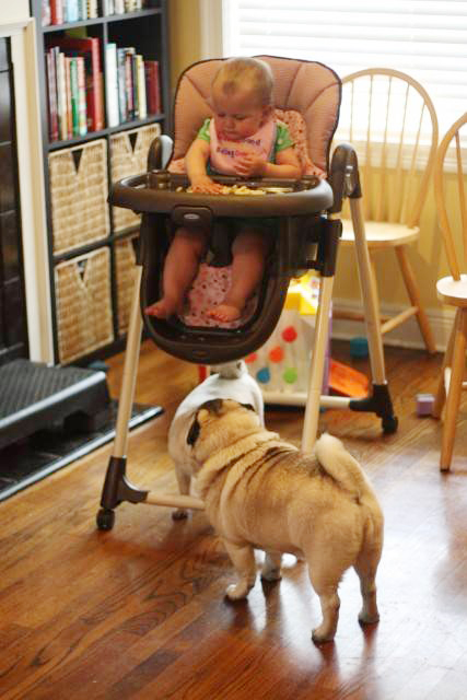 Baby with Vodafone Dogs Very Cute