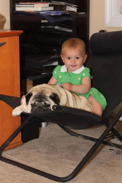 Baby with Vodafone Dogs Very Cute