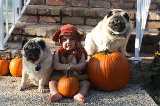Baby with Vodafone Dogs Very Cute
