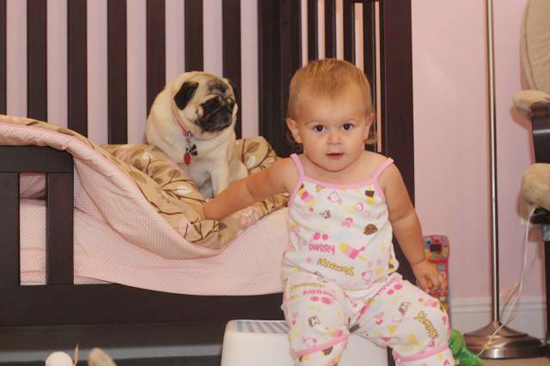 Baby with Vodafone Dogs Very Cute