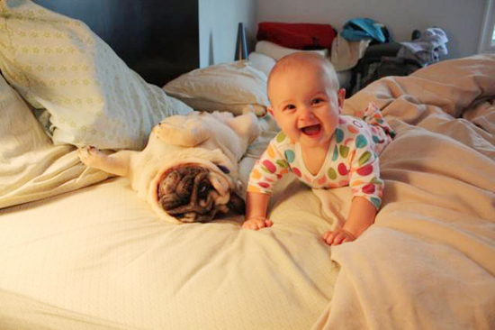Baby with Vodafone Dogs Very Cute