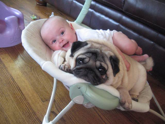 Baby with Vodafone Dogs Very Cute