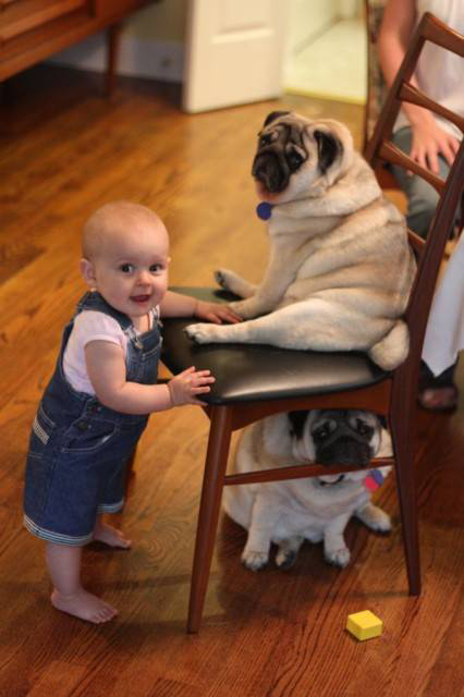 Baby with Vodafone Dogs Very Cute