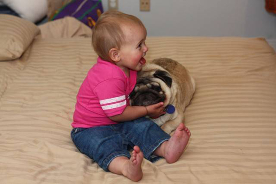 Baby with Vodafone Dogs Very Cute