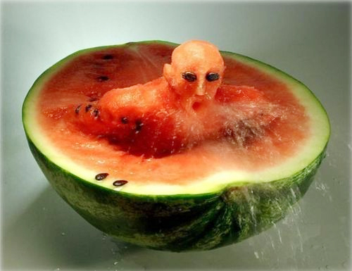 Funny Pictures