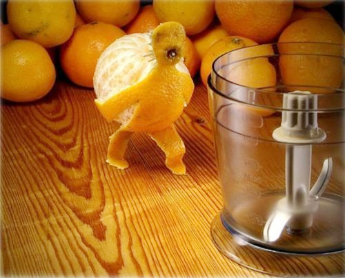Funny Pictures