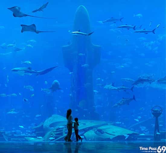 Grand Opening of Atlantis Hotel in Dubai few Weeks Back