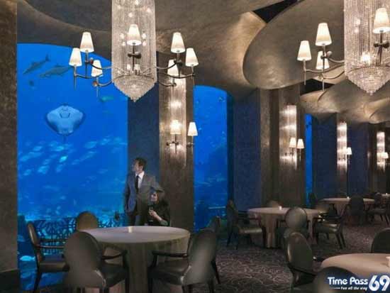 Grand Opening of Atlantis Hotel in Dubai few Weeks Back